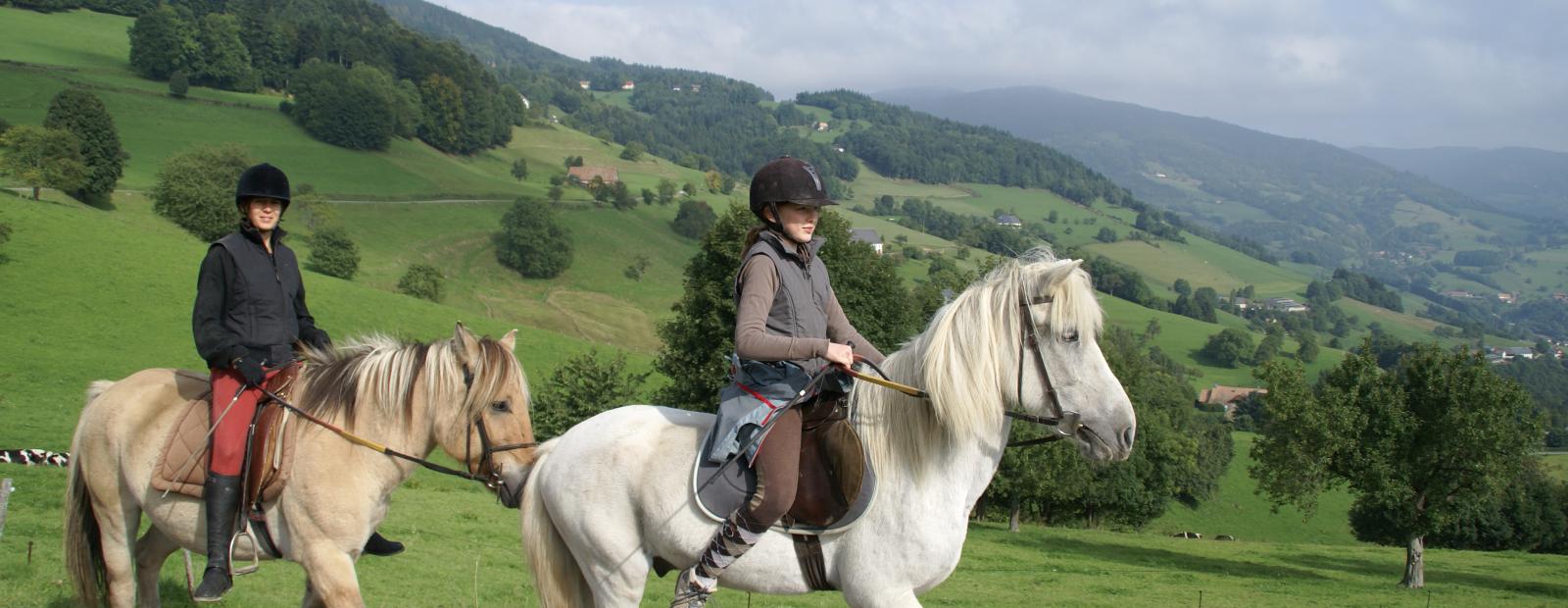 Equitation, Lac Blanc, Vosges, nature, escapade, balade,