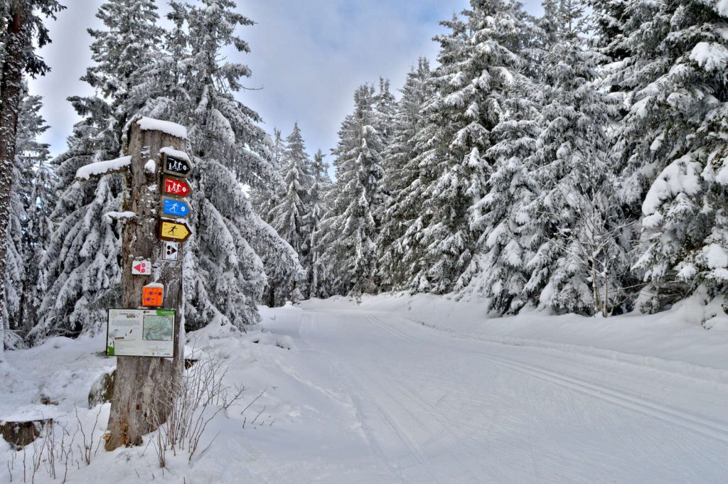 Animations ludiques pour les familles